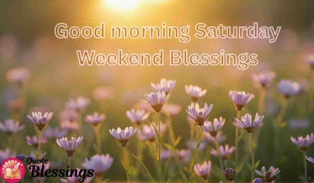 Saturday morning with soft flowers.