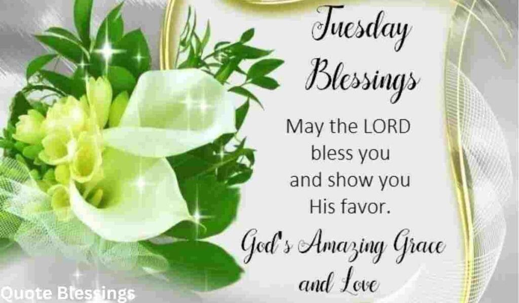 Gratitude Filled Good Morning Tuesday Blessings.