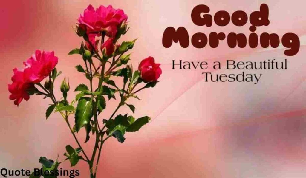 Positive Good morning Tuesday Blessings.