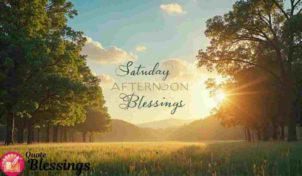 Saturday afternoon nature blessings.
